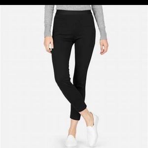 Everlane Ponte Skinny Pants